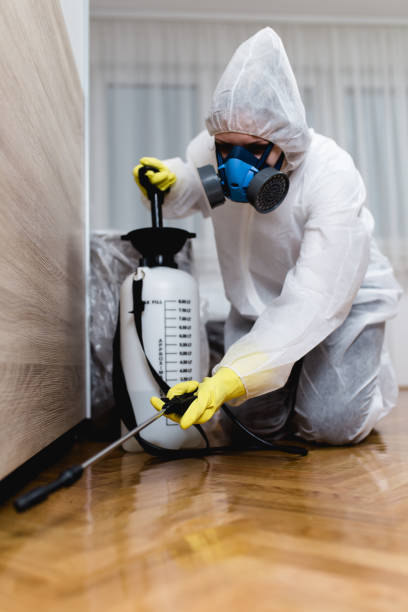 Best Termite Inspection and Treatment  in South Yarmouth, MA